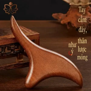 Cây Ấn Huyệt Gỗ Tự Nhiên