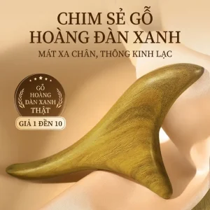 Cưu Gỗ Tam Giác Gỗ Đàn Hương Xanh