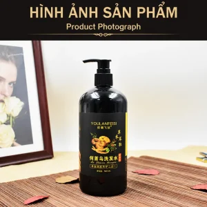 Dầu Gội Xả Hà Thủ Ô Linh Chi 500ml