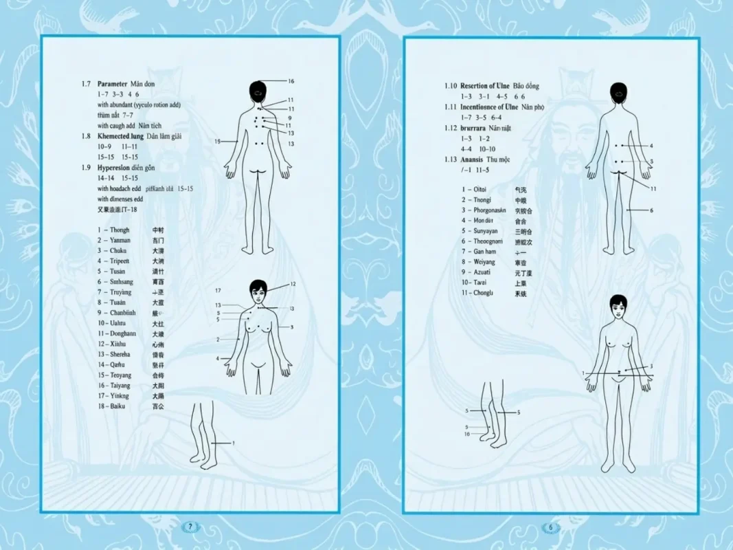 Bộ Giác Hơi 27 Cốc Lượng Từ Cao Cấp