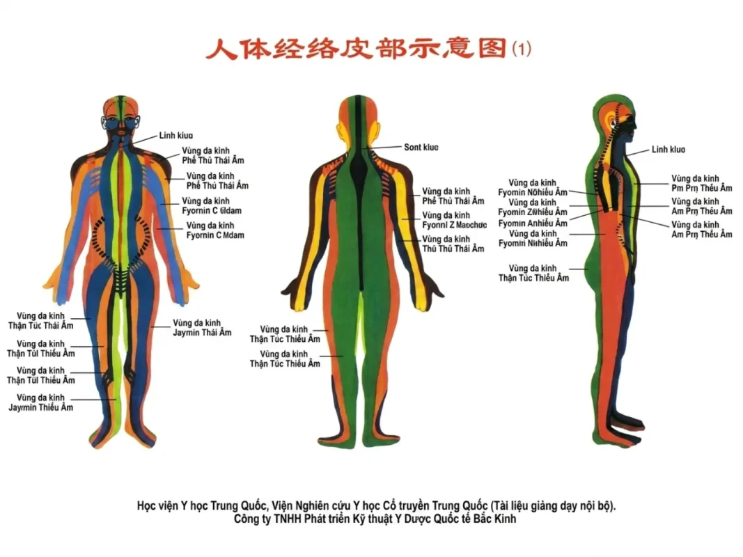 Bộ Giác Hơi 27 Cốc Lượng Từ Cao Cấp