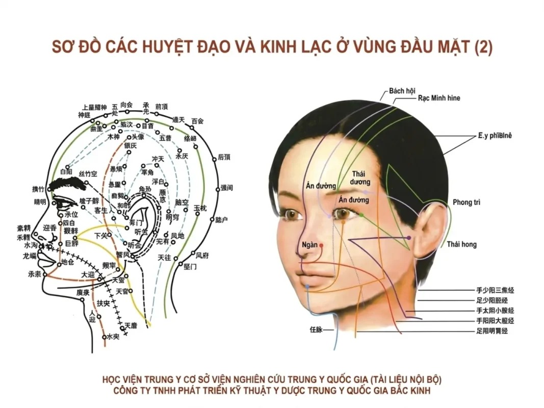 Bộ Giác Hơi 27 Cốc Lượng Từ Cao Cấp