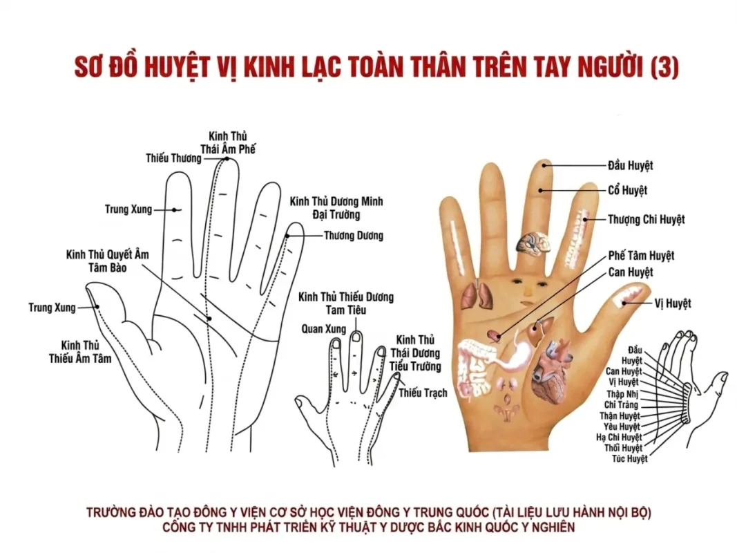 Bộ Giác Hơi 27 Cốc Lượng Từ Cao Cấp