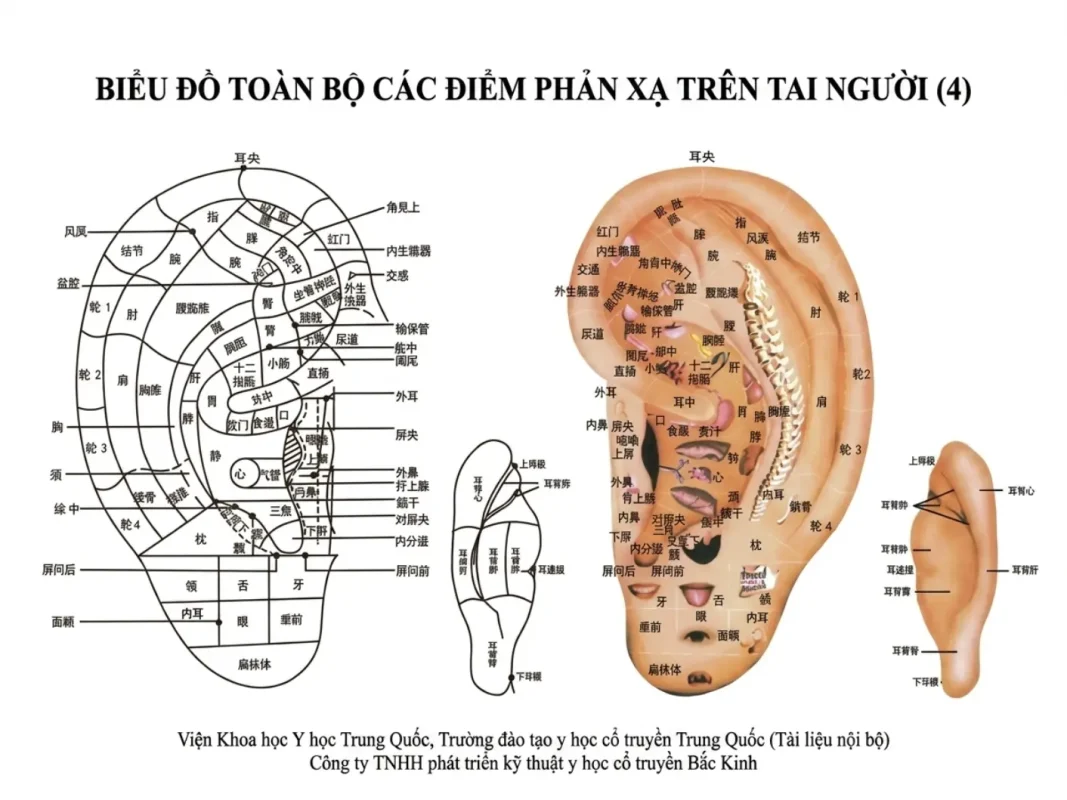 Bộ Giác Hơi 27 Cốc Lượng Từ Cao Cấp