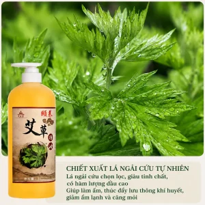 Tinh Dầu Ngải Cứu Trị Liệu Cao Cấp 1000ml – Làm Ấm Cơ Thể, Thư Giãn Cơ Bắp, Hỗ Trợ Massage Dưỡng Sinh