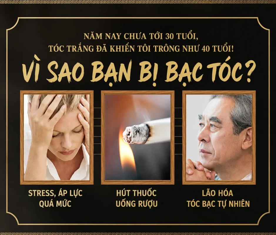 Dầu Gội Xả Hà Thủ Ô Linh Chi 500ml