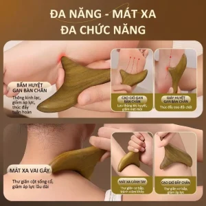 Cưu Gỗ Tam Giác Gỗ Đàn Hương Xanh