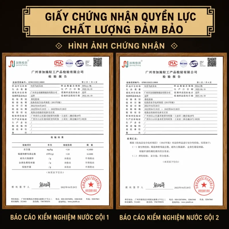 Dầu Gội Xả Hà Thủ Ô Linh Chi 500ml