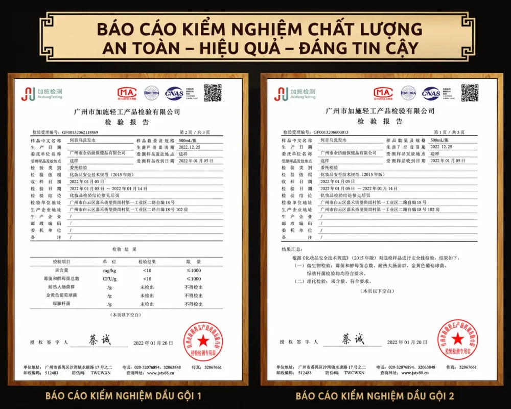 Dầu Gội Xả Hà Thủ Ô Linh Chi 500ml