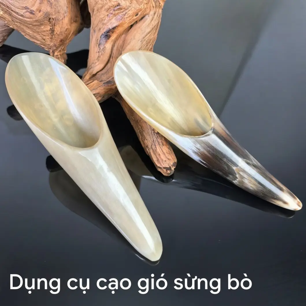 a1 Sừng Cạo Gió