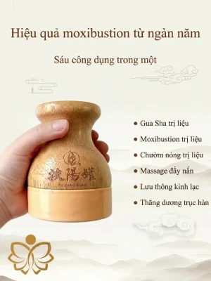 Cốc Hồng Quang Thần Cứu HB