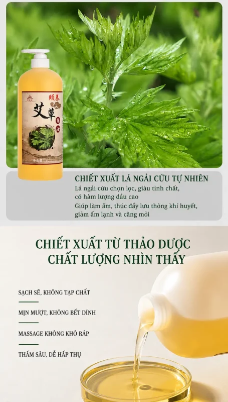 Tinh Dầu Ngải Cứu Trị Liệu Cao Cấp 1000ml – Làm Ấm Cơ Thể, Thư Giãn Cơ Bắp, Hỗ Trợ Massage Dưỡng Sinh