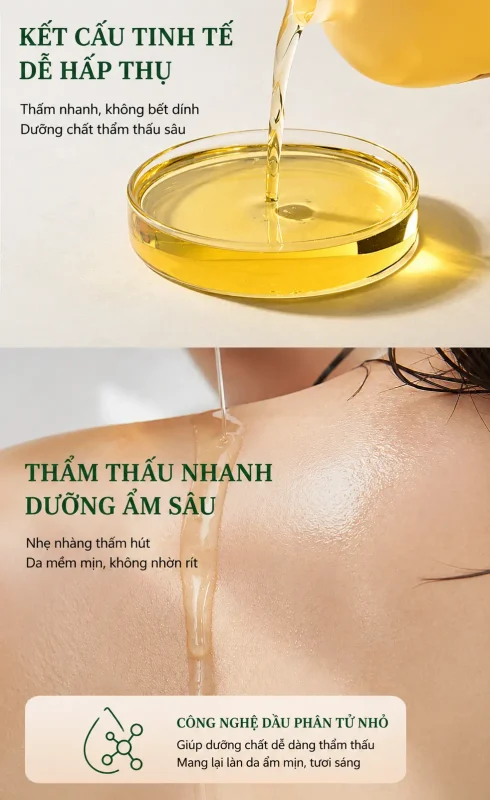 Tinh Dầu Ngải Cứu Trị Liệu Cao Cấp 1000ml – Làm Ấm Cơ Thể, Thư Giãn Cơ Bắp, Hỗ Trợ Massage Dưỡng Sinh