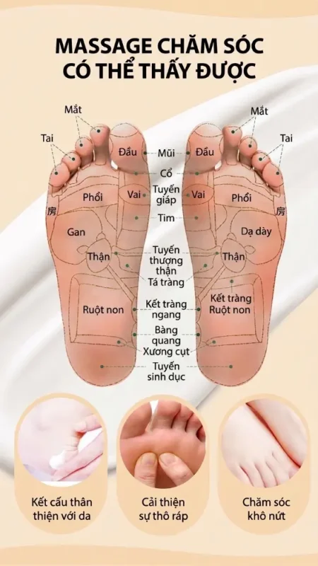 Kem Massage Chân Cao Cấp – Kem Dưỡng Massage Chân Chuyên Dụng Hỗ Trợ Chăm Sóc Bàn Chân & Đầu Gối