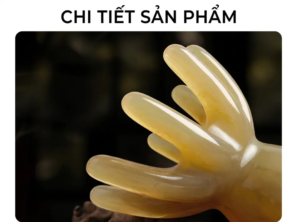 Dụng Cụ Massage Đầu Bằng Lược Móng Bạch Tuộc