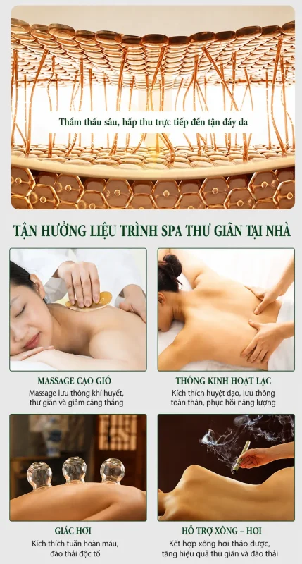 Tinh Dầu Ngải Cứu Trị Liệu Cao Cấp 1000ml – Làm Ấm Cơ Thể, Thư Giãn Cơ Bắp, Hỗ Trợ Massage Dưỡng Sinh