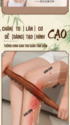 Gậy Massage Gỗ Đàn Hương 2 Hàng 20 Bi