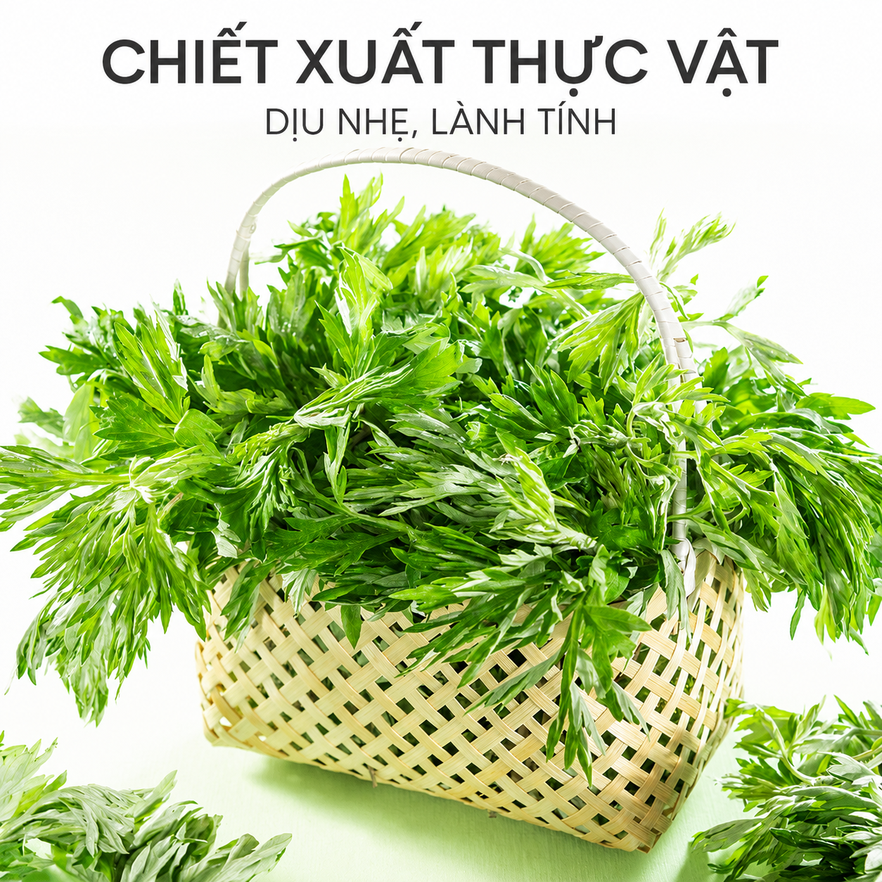 ảnh chính 4