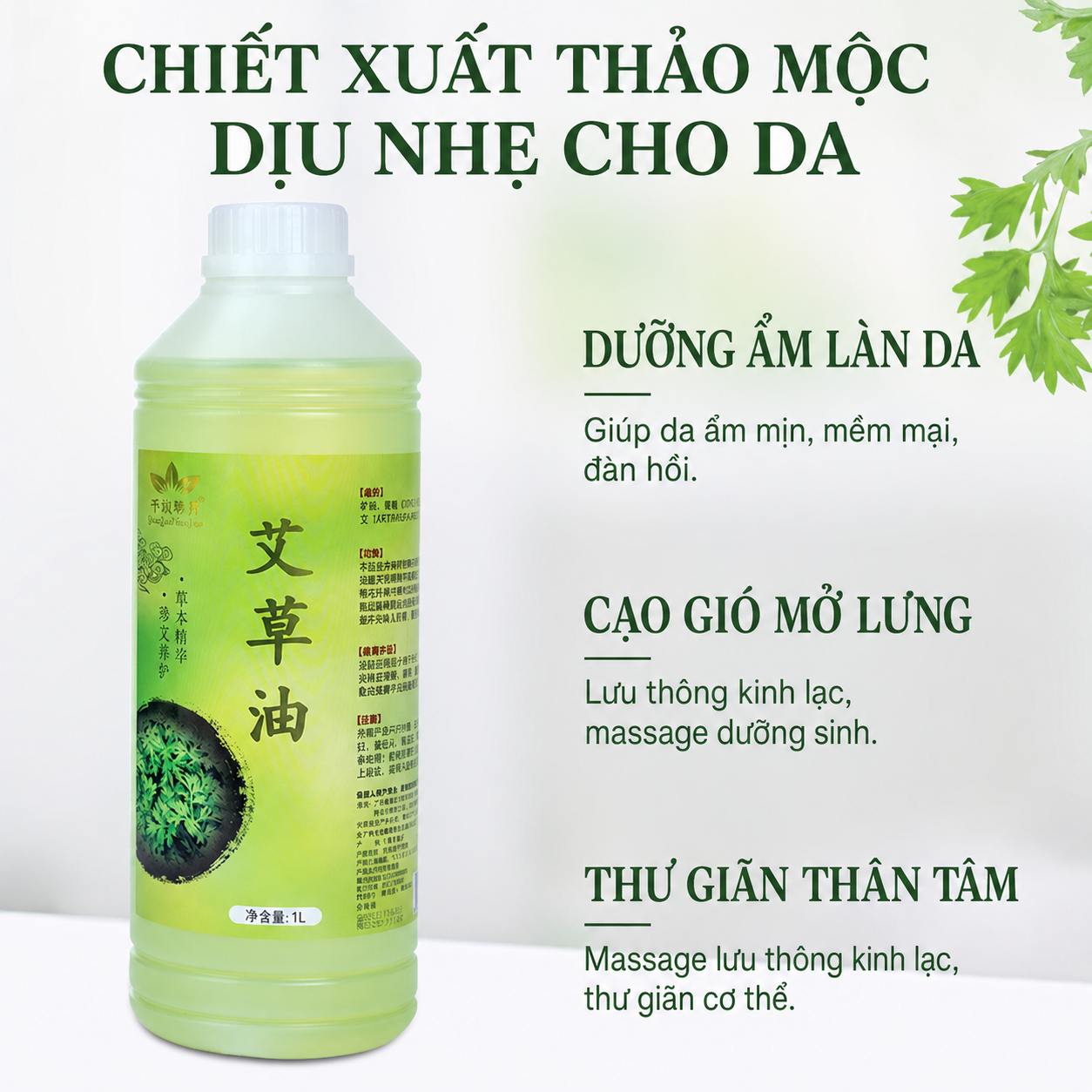 ảnh chính 6