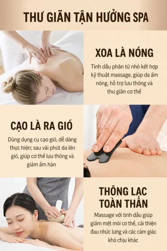 Tinh Dầu Gừng Già Siêu Nóng 1000ml – Tinh Dầu Massage Body, Cạo Gió, Dưỡng Sinh Chuyên Nghiệp