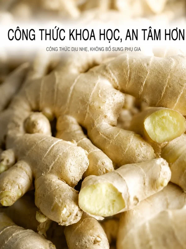 Tinh Dầu Gừng Nóng Nhẹ 1000ml