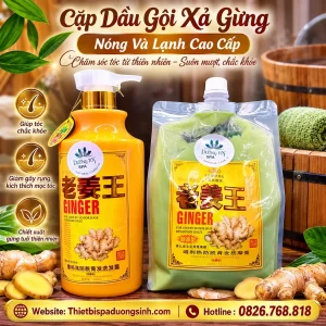 Cặp Dầu Gội Xả Gừng Nóng Và Lạnh Cao Cấp – Chăm Sóc Tóc & Da Đầu Chuyên Nghiệp