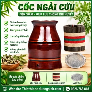 Cốc Xông Ngải Cứu Dưỡng Sinh – Cốc Phù Dương Cạo Gió