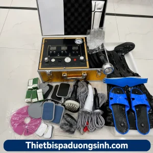 Máy Điện Sinh Học DDS9 Tiếng Việt – Máy Điện DDS Thế Hệ 9 Đa Chức Năng Cho Spa, Dưỡng Sinh
