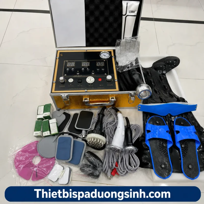 Máy Điện Sinh Học DDS9 Tiếng Việt – Máy Điện DDS Thế Hệ 9 Đa Chức Năng Cho Spa, Dưỡng Sinh