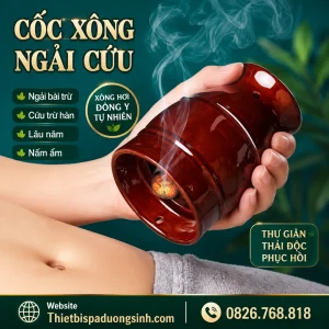 Cốc Xông Ngải Cứu Dưỡng Sinh – Cốc Phù Dương Cạo Gió