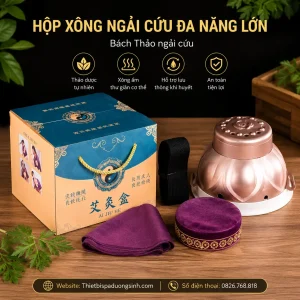 Hộp Xông Ngải Cứu Đa Năng – Sử Dụng Cho Toàn Bộ Cơ Thể, Massage Dưỡng Sinh Đông Y