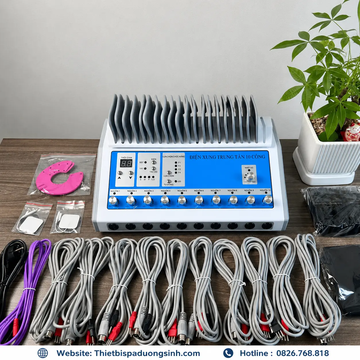2 Máy Điện Trung Tần 10 Công Kèm Chỉnh Nhiệt – 10 Kênh Độc Lập