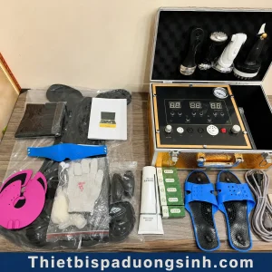 Máy Điện Sinh Học DDS9 Tiếng Việt – Máy Điện DDS Thế Hệ 9 Đa Chức Năng Cho Spa, Dưỡng Sinh
