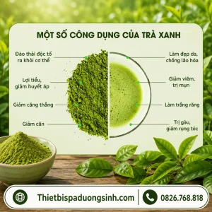 Bột Trà Xanh Nguyên Chất 100% Mặt Nạ Trà Xanh Đắp Mặt Bóc Bã Nhờn, Ngừa Mụn, Mờ Thâm 1000G