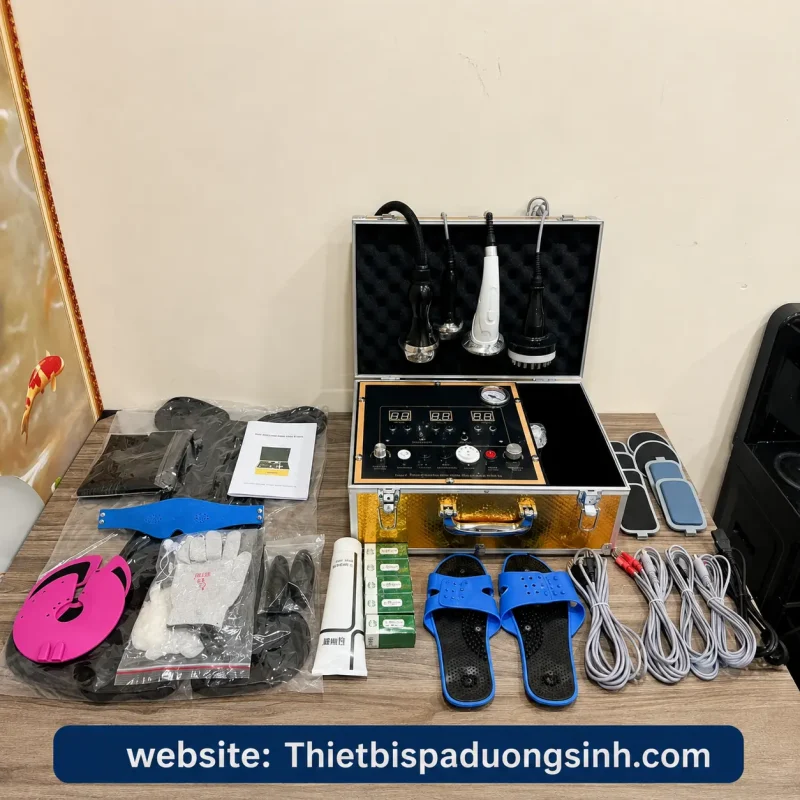 Máy Điện Sinh Học DDS9 Tiếng Việt – Máy Điện DDS Thế Hệ 9 Đa Chức Năng Cho Spa, Dưỡng Sinh