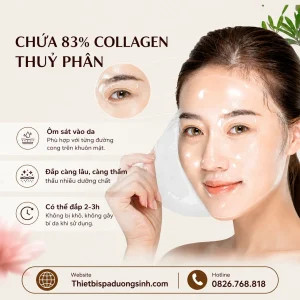 [Combo 100 Miếng] Mặt Nạ Thủy Tinh Collagen Tinh Chất Dưỡng Trắng Căng Bóng