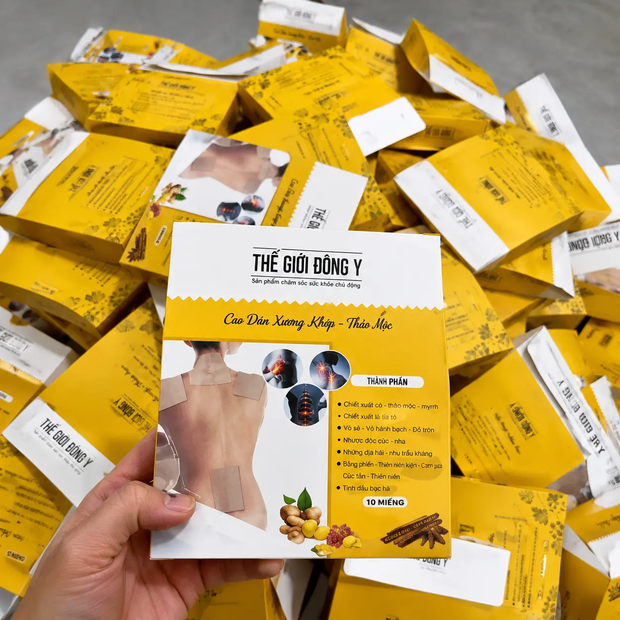 6 Cao Dán Xương Khớp Hộp 50 Miếng