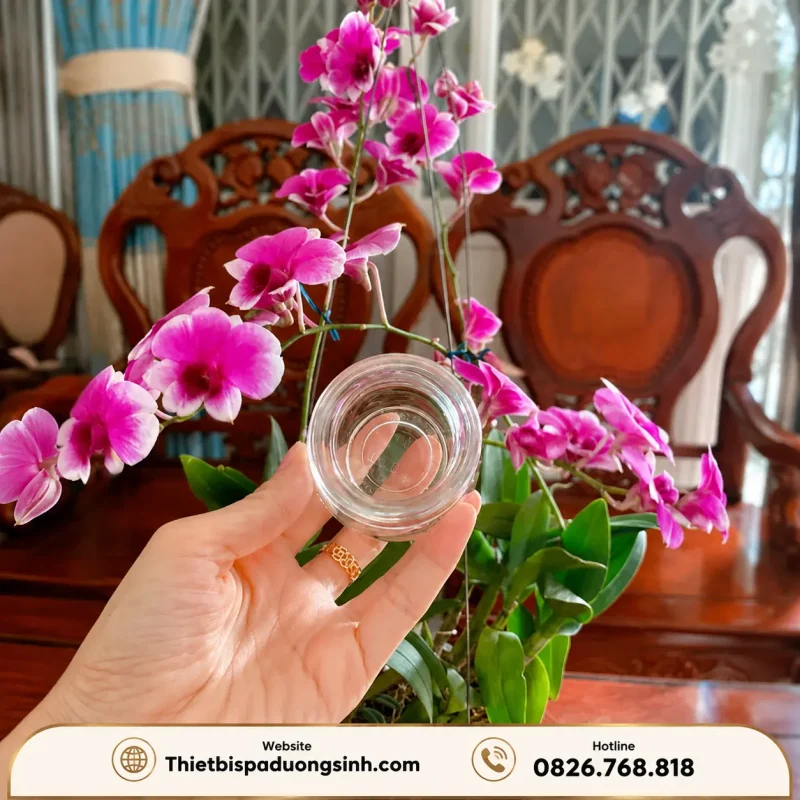 Bộ 12 Ống Giác Hơi – Bộ Giác Hơi Thủy Tinh