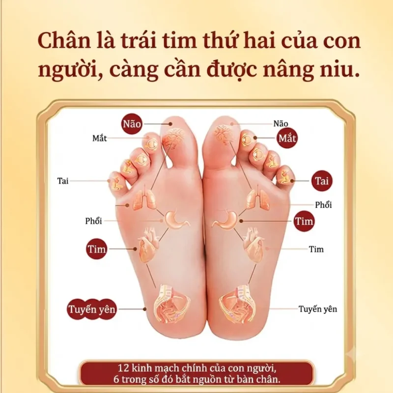 Cao Dán Thải Độc Chân 1 Hộp 50 Miếng – Hỗ Trợ Thư Giãn, Chăm Sóc Bàn Chân Mỗi Ngày