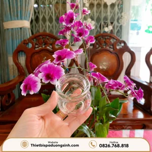 Bộ 12 Ống Giác Hơi – Bộ Giác Hơi Thủy Tinh