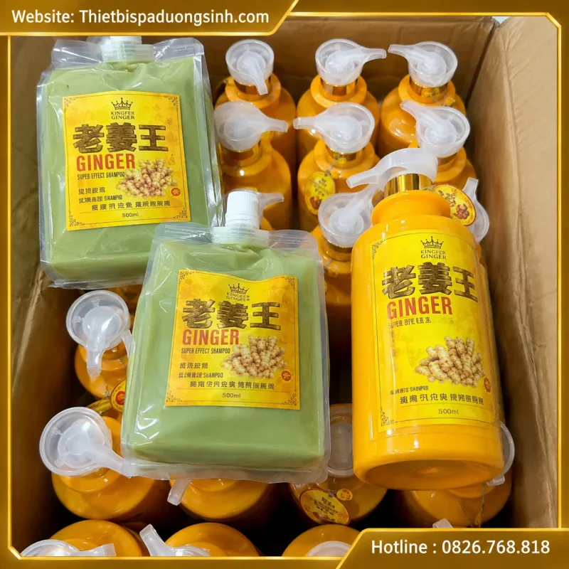 Cặp Dầu Gội Xả Gừng Nóng Và Lạnh Cao Cấp – Chăm Sóc Tóc & Da Đầu Chuyên Nghiệp