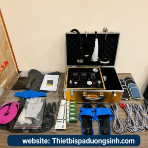 Máy Điện Sinh Học DDS9 Tiếng Việt – Máy Điện DDS Thế Hệ 9 Đa Chức Năng Cho Spa, Dưỡng Sinh