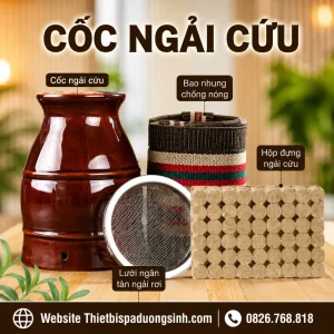 Cốc Xông Ngải Cứu Dưỡng Sinh – Cốc Phù Dương Cạo Gió