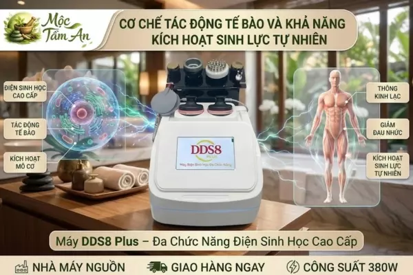 Cơ Chế Tác Động Tế Bào Và Khả Năng Kích Hoạt Sinh Lực Tự Nhiên