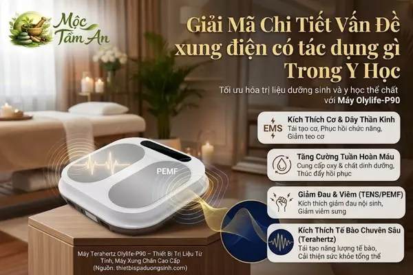https://banchansatanhthinh.com/dung-de-mat-khach-chi-vi-chon-sai-nguon-cung-cap-khan-lanh-quan-go-vap/