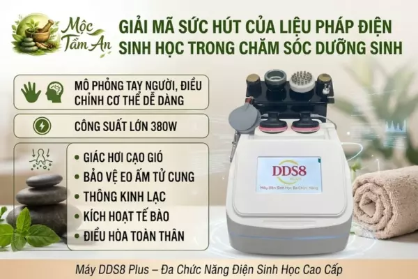 Giải Mã Sức Hút Của Liệu Pháp Điện Sinh Học Trong Chăm Sóc Dưỡng Sinh