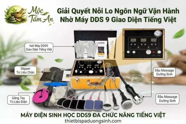 Giải Quyết Nỗi Lo Ngôn Ngữ Vận Hành Nhờ Máy DDS 9 Giao Diện Tiếng Việt