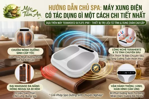 Hướng Dẫn Chủ Spa: Máy Xung Điện Có Tác Dụng Gì Một Cách Chi Tiết Nhất 2026