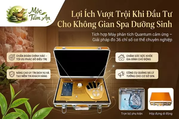 Lợi Ích Vượt Trội Khi Đầu Tư Cho Không Gian Spa Dưỡng Sinh