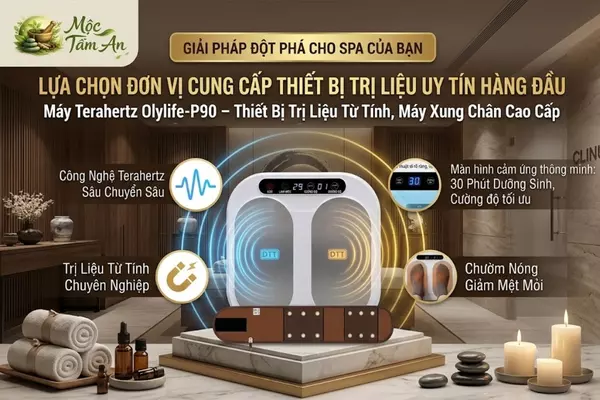 Lựa Chọn Đơn Vị Cung Cấp Thiết Bị Trị Liệu Uy Tín Hàng Đầu